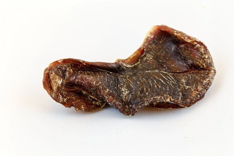 Duck Gizzard Chips
