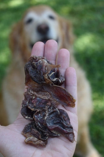 Chips de Moela de Pato