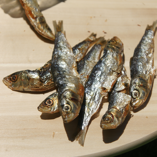 Sardine Pack